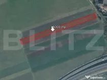 Teren de 5000 mp, Stupini