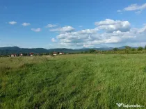 Merisor, 54 ari teren