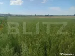 Teren extravilan, 2427 mp, Horodnic de Sus
