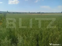 Teren extravilan, 2427 mp, Horodnic de Sus