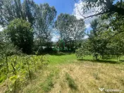 Teren Fedelesoiu/3200 mp/Intravilan 