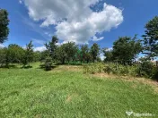 Teren Fedelesoiu/3200 mp/Intravilan 