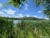 Teren Fedelesoiu/3200 mp/Intravilan 