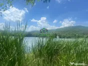 Teren Fedelesoiu/3200 mp/Intravilan 