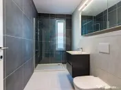 Casă / Vilă in Corbeanca 