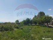 Vila individuala de inchiriat in Sibiu, cu teren de 1.000 mp 