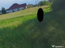 Catalina, 39 ari teren