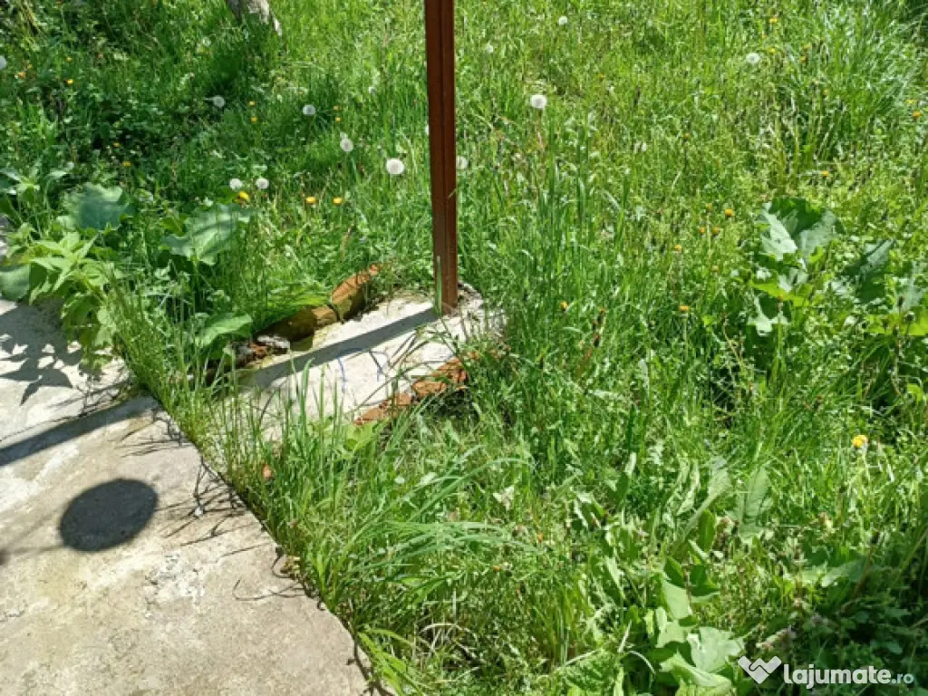 Casă 2 camere plus living