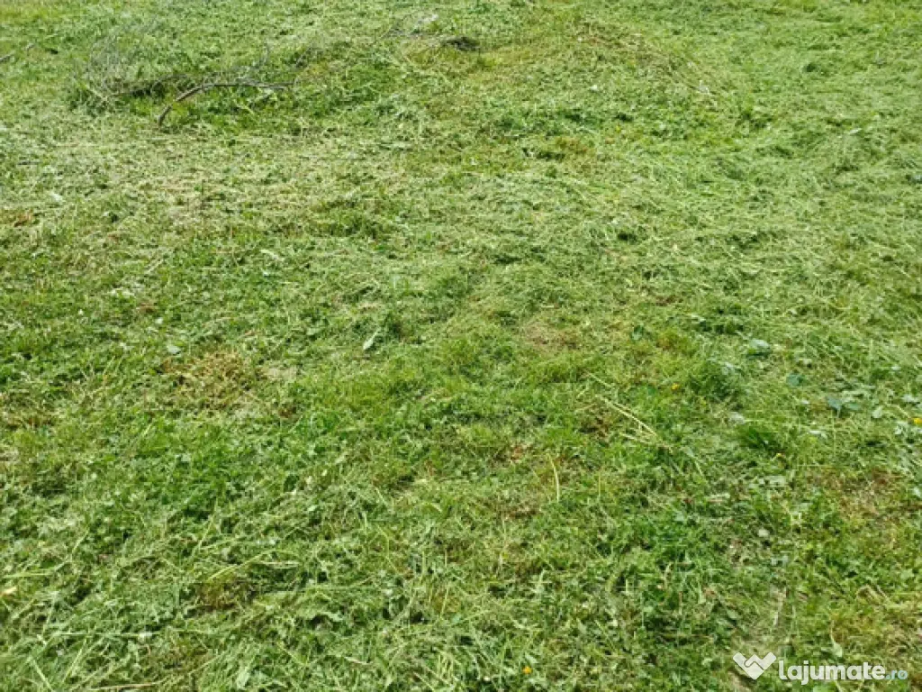 Casă 2 camere plus living