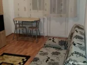 Apartament cu o camera Sagului 