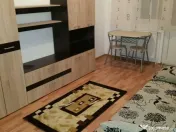 Apartament cu o camera Sagului 