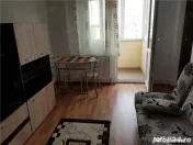 Apartament cu o camera Sagului 
