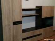 Apartament cu o camera Sagului 