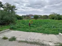 Teren 1950mp cu casa batraneasca 45 mp