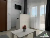 AFACERE LA CHEIE VILA 17 CAMERE 17 BAI EFORIE NORD 