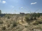 Teren Intravilan Magic Trivale - Aleea Bradului 1040 mp 