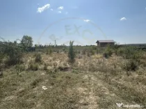 Teren Intravilan Magic Trivale - Aleea Bradului 1040 mp