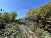 Teren intravilan Buru | ideal agrement, activități outdoor 