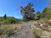 Teren intravilan Buru | ideal agrement, activități outdoor 