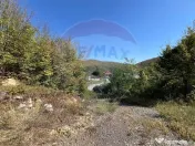 Teren intravilan Buru | ideal agrement, activități outdoor 