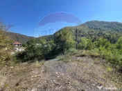 Teren intravilan Buru | ideal agrement, activități outdoor 