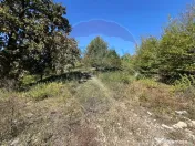 Teren intravilan Buru | ideal agrement, activități outdoor 