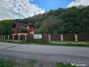 Vila Exclusivista Vetel,valea Caoiului 
