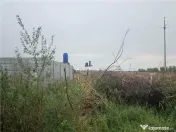 Teren intravilan, 5000mp, Ciolpani - accept schimb 