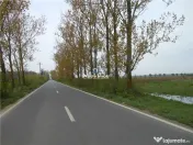 Teren intravilan, 5000mp, Ciolpani - accept schimb 