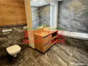 Vila DE LUX, P 1E, mob. si utilata, DE INCHIRIAT, zona Palat 