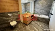 Vila DE LUX, P 1E, mob. si utilata, DE INCHIRIAT, zona Palat