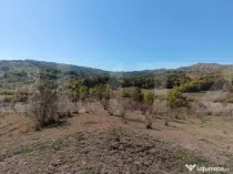 Teren extravilan cu priveliște superba , livadă și poten?