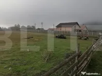 Teren intravilan 3300 mp apa, curent, posibilitate parcelare