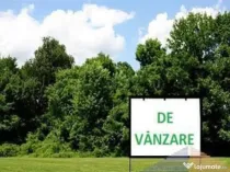 Teren intravilan, 12.200mp, zona Francei. (2 parcele-se va