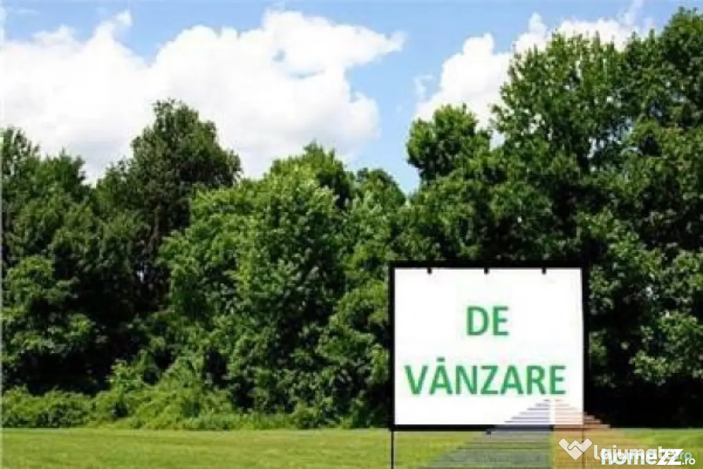 Teren intravilan, 12.200mp, zona Francei. (2 parcele-se va