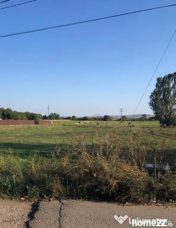 Teren intravilan, 12.200mp, zona Francei. (2 parcele-se va
