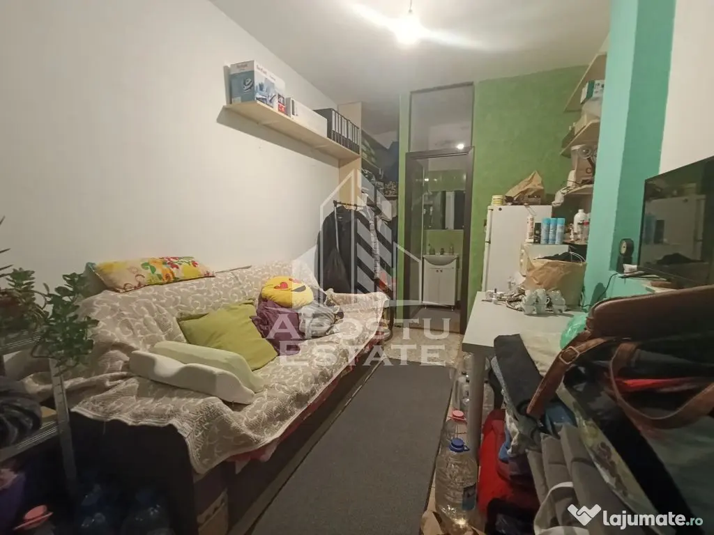 Apartament cu 4 camere, centrala proprie, 2 bai, terasa, zona Iosefin. - Timisoara (Timis)