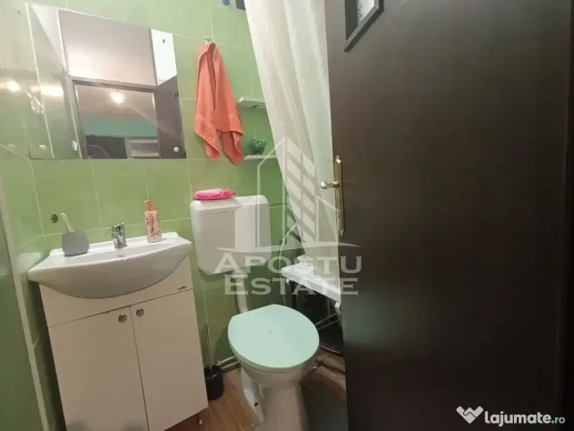 Apartament cu 4 camere, centrala proprie, 2 bai, terasa, zona Iosefin. - Timisoara (Timis)
