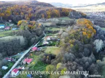 PADURE LANGA ORAS, ACCES BUN, IDEALA PENTRU ACTIVITATI DE AGREMENT