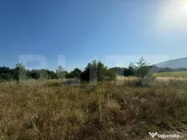Teren extravilan, 4000mp, com. Darmanesti