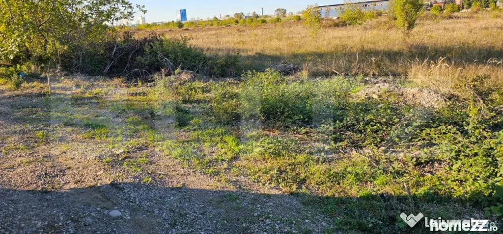 Teren 5000m2 Targoviste - ZONA INDUSTRIALA C.O.S. TGV - Gaesti (Dambovita)