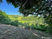 Teren zona turistica Rosia 