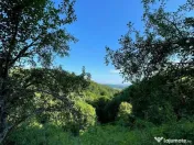 Teren zona turistica Rosia 