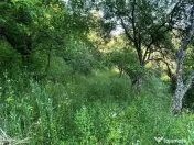 Teren zona turistica Rosia 