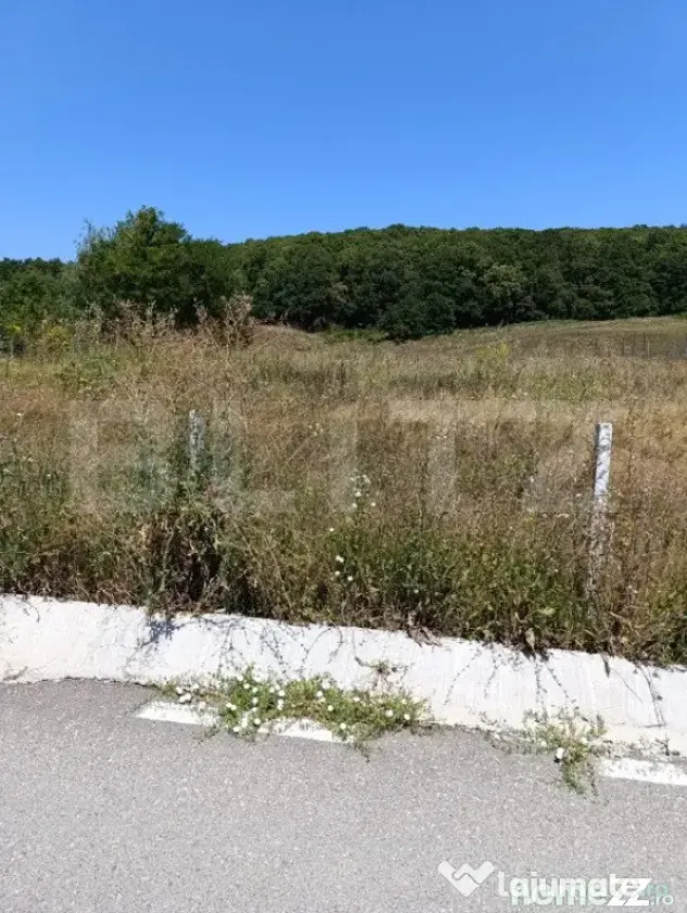 Teren 10200mp , toate utilitatile , la 10 km de DEJ - Dej (Cluj)