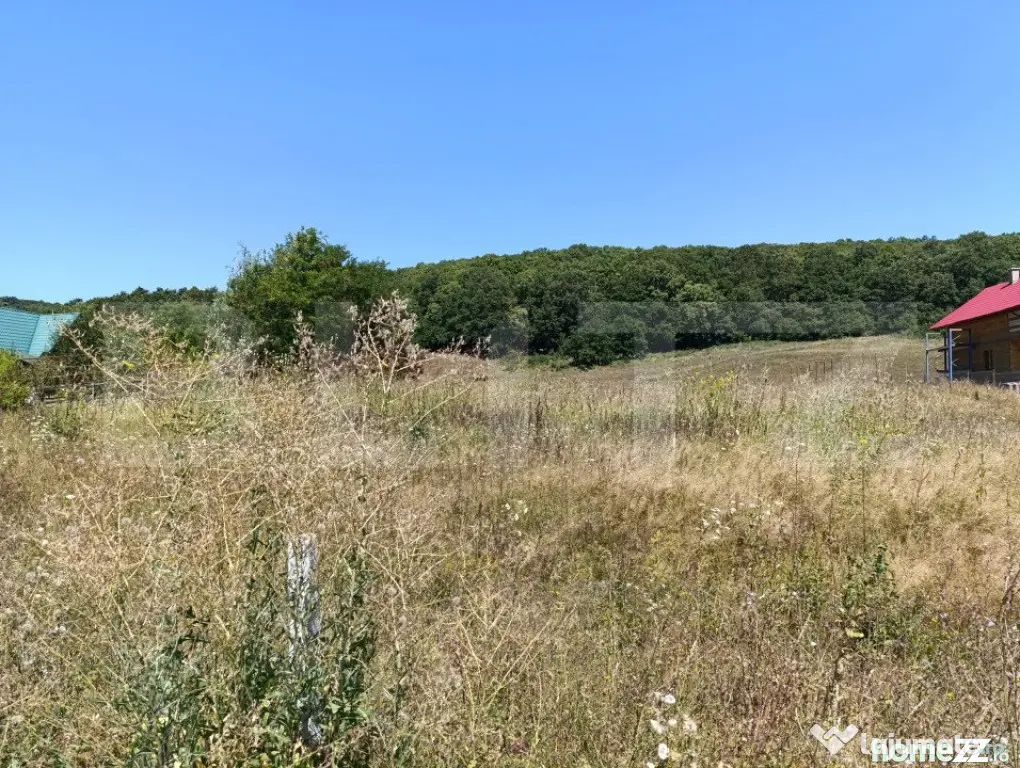Teren 10200mp , toate utilitatile , la 10 km de DEJ - Dej (Cluj)