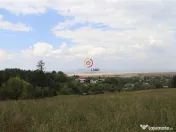 Teren intravilan cu PUZ si PUD 3 loturi 