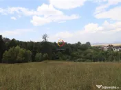 Teren intravilan cu PUZ si PUD 3 loturi 