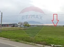 Teren Podari / Fabrica de mobila / 4600 mp / Intravilan