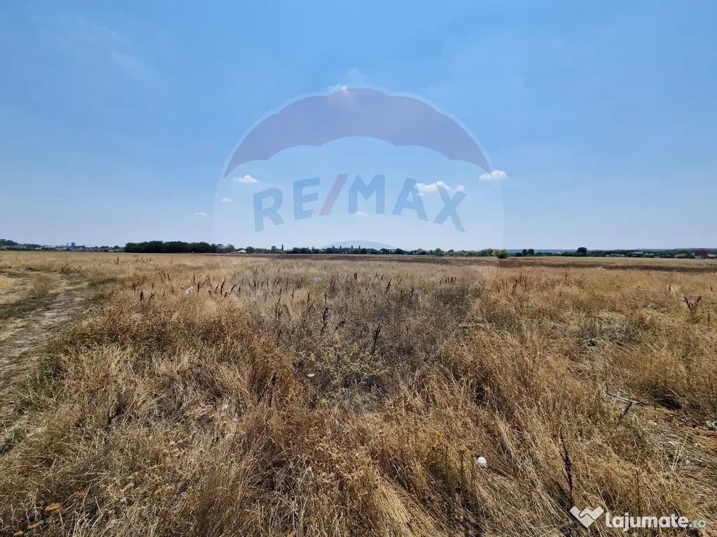 Teren Podari / Fabrica de mobila / 4600 mp / Intravilan